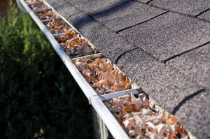 Pro Roofing America Client Clogged Gutter