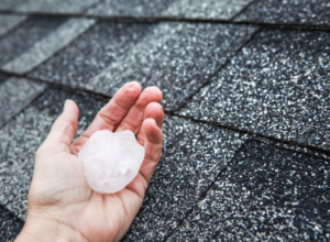 What to do After a Hailstorm